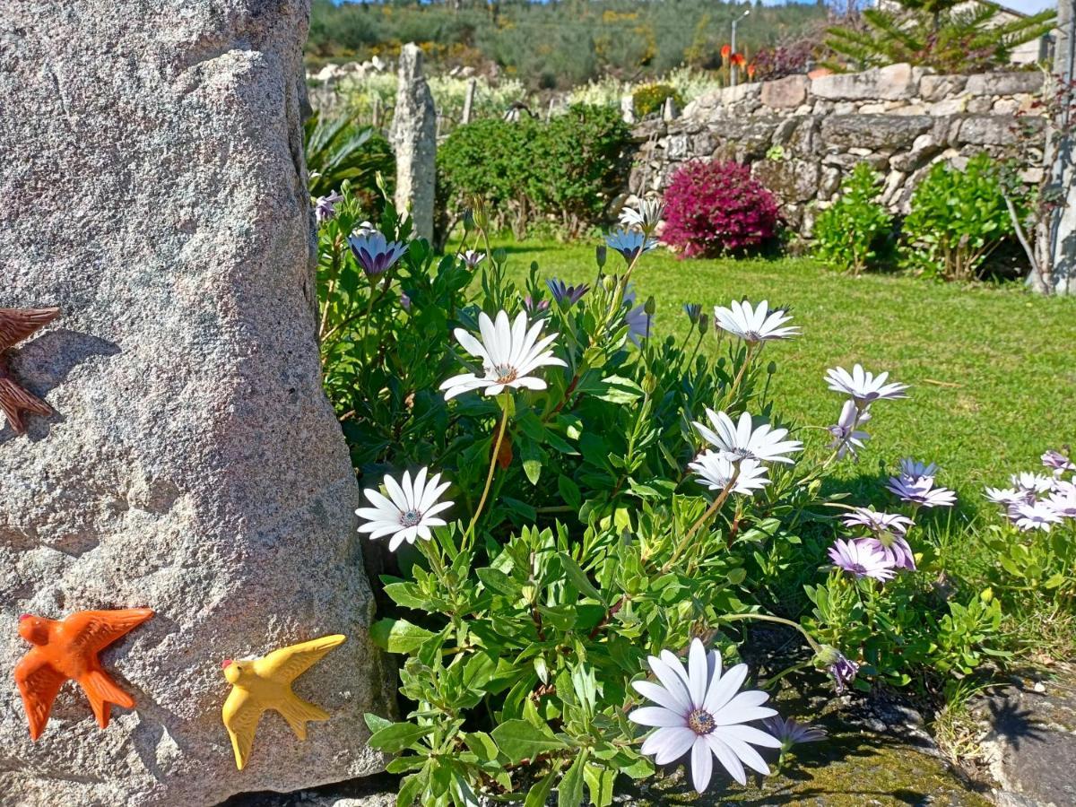 Jardim Da Rosa Konuk evi Monção Dış mekan fotoğraf