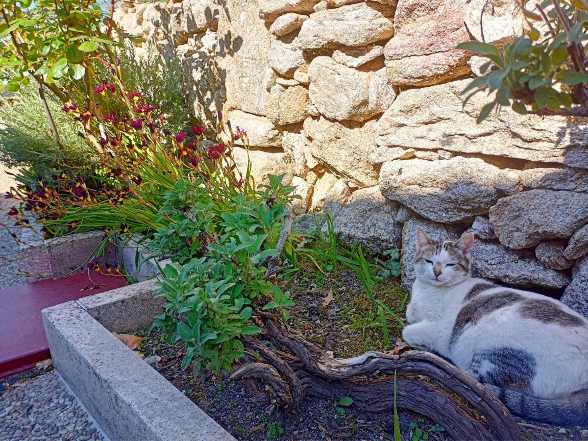 Jardim Da Rosa Konuk evi Monção Dış mekan fotoğraf